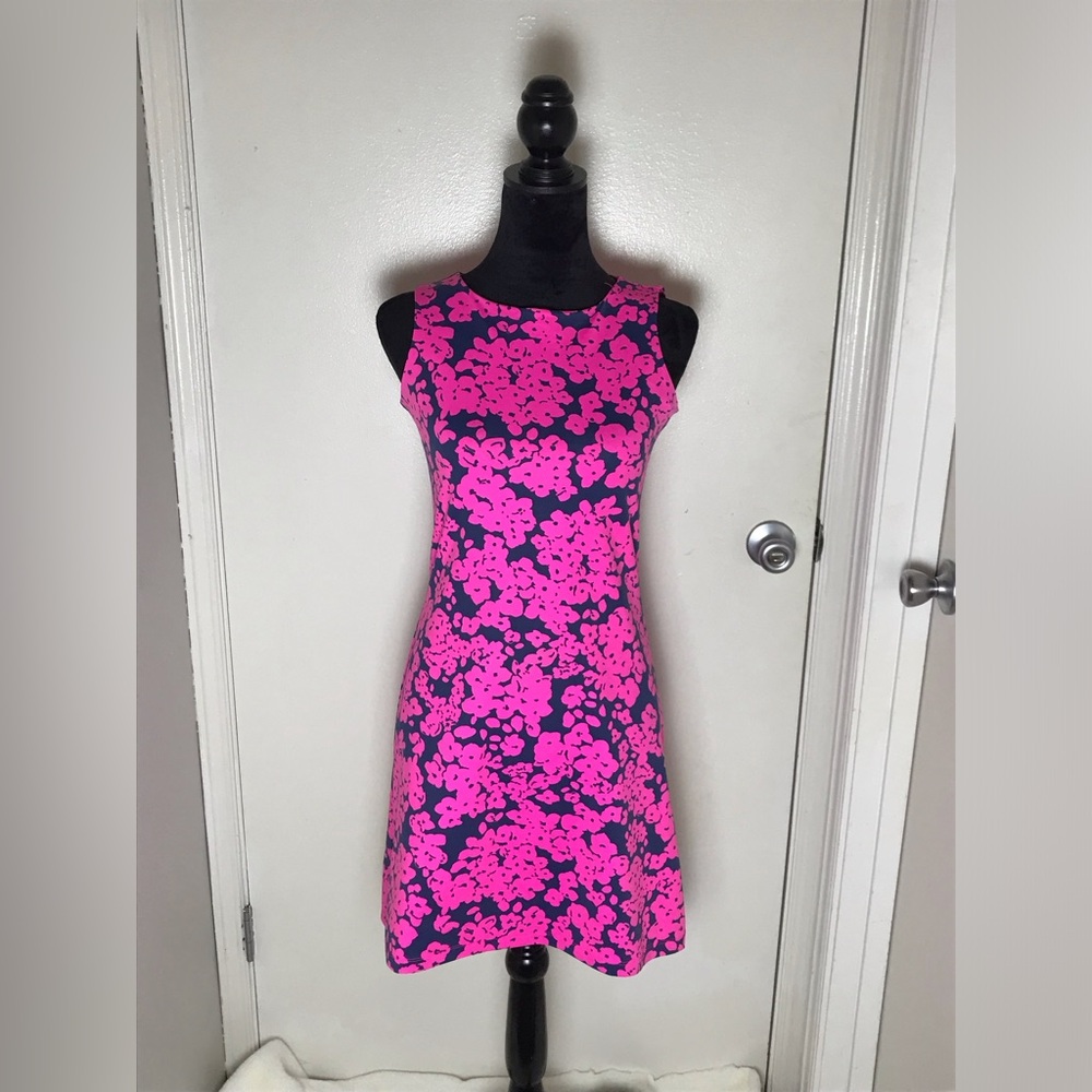 MAHI GOLD Pink and Blue Dress Crew Neck Sleeveless
